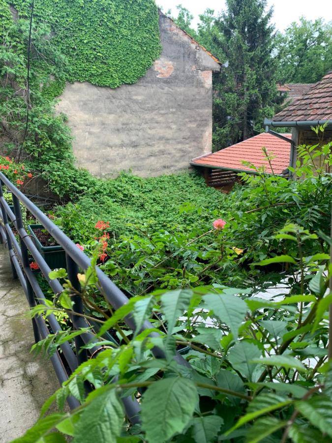 Bed And Breakfast "Caffe-Caffe" Kikinda Exterior photo